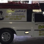 قالیشویی مجاز ضامن